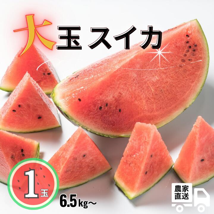 【ふるさと納税】 大玉スイカ　1玉（6.5kg以上）