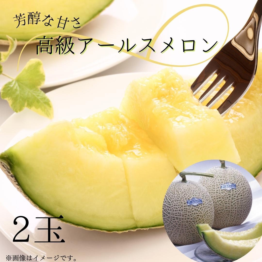【ふるさと納税】メロン めろん ＼高級アールスメロン／ さんて旬菜館の高級 アールスメロン 2玉 ｜ 芳醇な甘さ メロン めろん おすすめ 人気 国産 青肉 産地直送 茨城 鉾田 フルーツ 旬 大きい プレゼント 贈り物 旬 定番 果物 くだもの 甘い 特大 上品 ギフト 誕生日