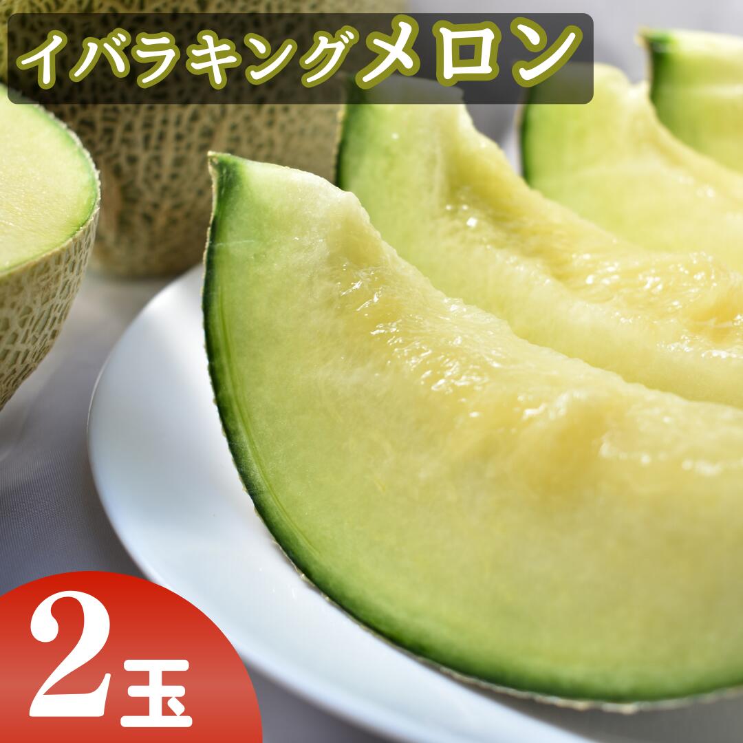 【ふるさと納税】メロン めろん 茨城オリジナルメロン「イバラキング」《2玉》JAほこたなだろう ｜ 先行予約 めろん イバラキング おすすめ 人気 青肉 産地直送 茨城 鉾田 フルーツ プレゼント 贈り物 茨城県 鉾田市 鉾田 青肉 オリジナル 国産 送料無料 甘い 旬 スイーツ