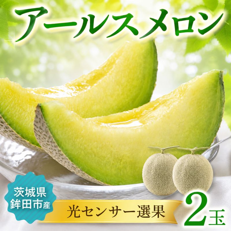 【ふるさと納税】 メロン めろん 茨城 2026年発送 2玉 果物 くだもの フルーツ 青肉 2個 アールスメロン meron melon 光センサー 国産 産地直送 農家直送 数量限定 期間限定 プレゼント ギフト 贈り物 秀 茨城県 鉾田市 サングリーン旭|茨城県鉾田市