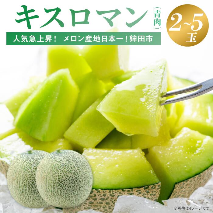 【ふるさと納税】メロン めろん 食べて感じる甘さ！一押し！キスロマン(2～5個入) 選べる内容量