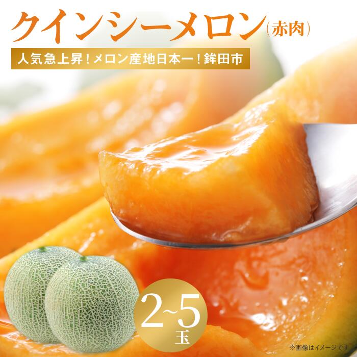 赤肉メロン「クインシーメロン」の種 果物