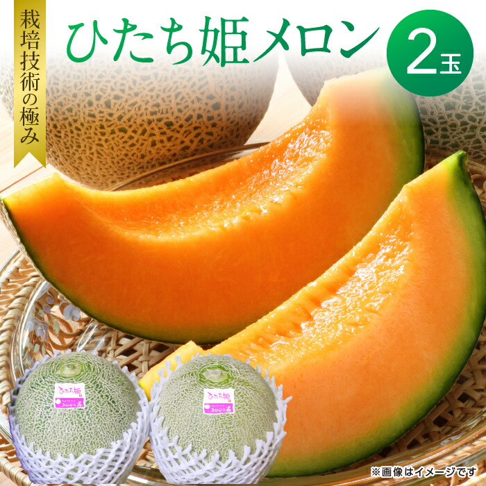 【ふるさと納税】 メロン めろん ひたち姫メロン 2玉 ギフト 鉾田 果物 人気 おすすめ 贈答 茨城 お返し 先行予約 スイーツ 送料無料 味 茨城県 還元率 赤肉 フルーツ めろん 鉾田市 デザート くだもの お取り寄せ 甘い ジューシー 期間限定 メロンの森 フォレストパーク