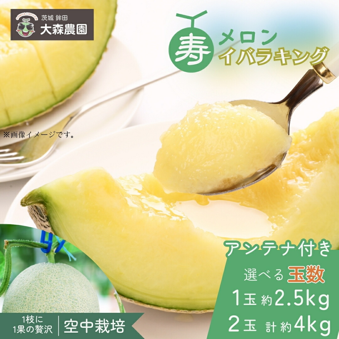 【ふるさと納税】メロン めろん 寿メロン 「空中栽培」で栽培した贅沢な イバラキングメロン アンテナ付き 選べる玉数 １玉 2玉 1玉2.5kg ２玉合計約4kg メロン 大森農園 先行予約 フルーツ先行予約 メロン先行予約