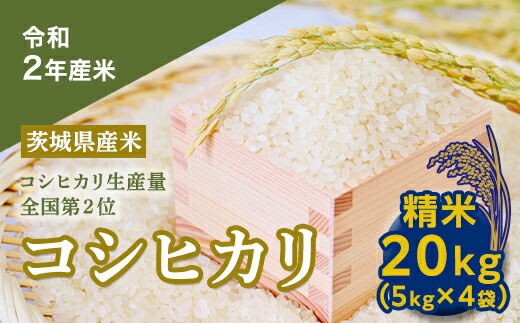 超人気 楽天市場 ふるさと納税 数量限定 令和２年産米 茨城県産コシヒカリ２０kg 茨城県つくばみらい市 値引 Jurnalarkeologi Kemdikbud Go Id