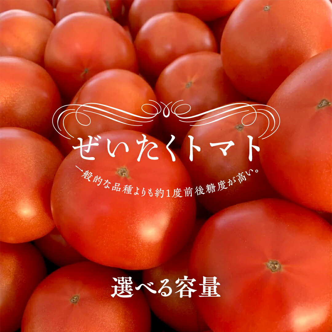 楽天市場】【ふるさと納税】カラフルミニトマト の 宝石箱 18粒 【令和 