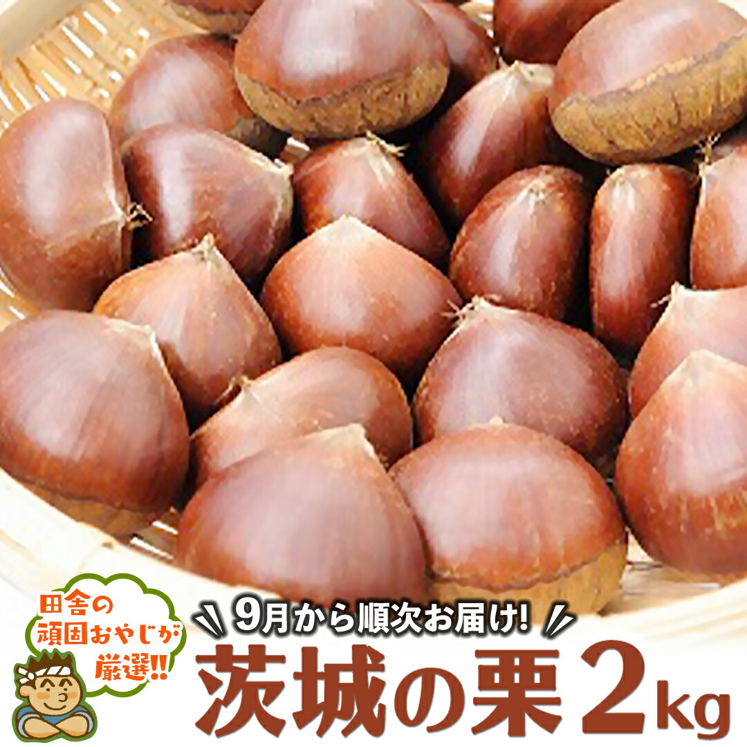 【ふるさと納税】茨城の栗2kg【9月より発送開始】田舎の頑固おやじが厳選！