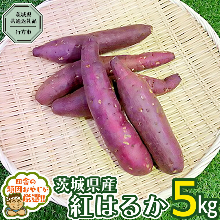 【ふるさと納税】べにはるか 5kg 【2024年10月から発送開始】（茨城県共通返礼品 [さつまいも]：行方市産） さつまいも 紅はるか 芋 いも 野菜
