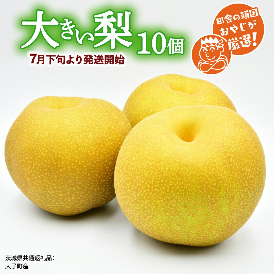 【ふるさと納税】大きい 梨 10個【2026年7月下旬より発送開始】田舎の頑固おやじが厳選！（茨城県共通返礼品 [梨]：大子町産）