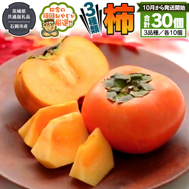 【ふるさと納税】柿 3種 セット 【10月から発送開始】 （茨城県共通返礼品：石岡市産） 田舎の頑固おやじが厳選！ フルーツ 果物 美味しい