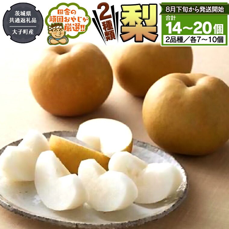 【ふるさと納税】梨 2種 セット 【2026年8月下旬から発送開始】 （茨城県共通返礼品 [梨]：大子町産） 田舎の頑固おやじが厳選！フルーツ 果物 美味しい 18,250円