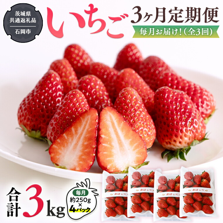 【ふるさと納税】【 定期便 】 合計3kgお届け いちご の3ヶ月連続お届け便 （1回：250g×4パック）×3回 【2026年1月から発送開始】（茨城県共通返礼品：石岡市産） 果物 フルーツ イチゴ 苺 白いちご 白苺 とちおとめ 白いちご 紅ほっぺ やよいひめ 定期便