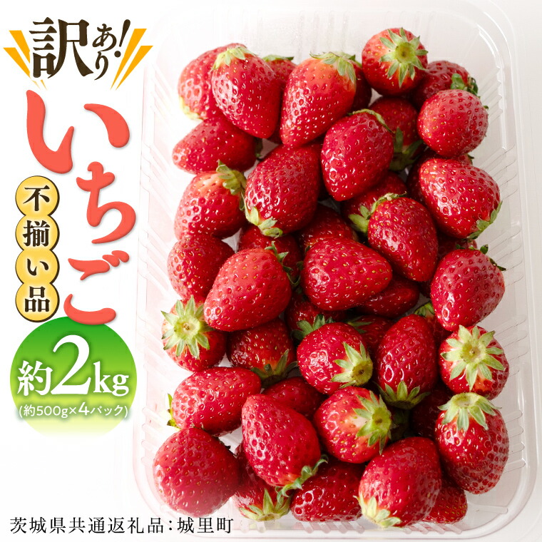 【ふるさと納税】【 訳あり 】いちご 2kg（500g×4パック）【2026年1月から発送開始】（茨城県共通返礼品 [いちご]：城里町産） 果物 フルーツ 苺 イチゴ 不揃い わけあり 先行予約 家庭用 アレンジ お菓子作り スイーツ 春 旬