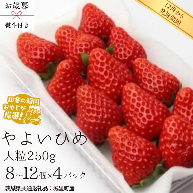 【ふるさと納税】【 お歳暮 熨斗付 】やよいひめ〈いちご〉大粒 250g（8～12粒）×4パック【2026年12月から発送開始】（茨城県共通返礼品 [いちご]：城里町産） いちご 苺 イチゴ やよいひめ