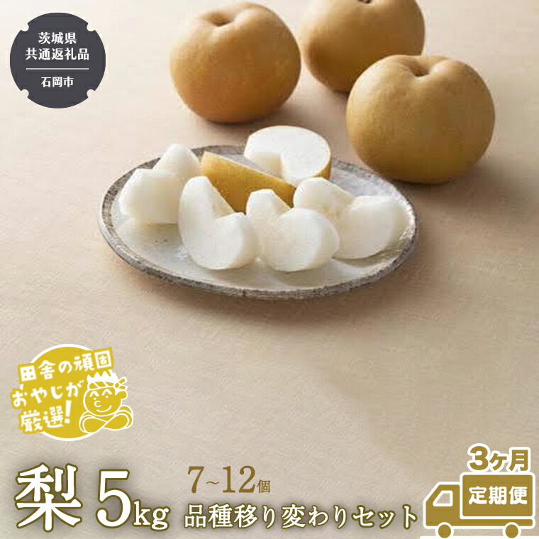 【ふるさと納税】【定期便】梨 5kg（7～12個）品種移り変わりセット【2025年8月から3か月連続で発送】（茨城県共通返礼品：石岡市産） なし ナシ 果物 フルーツ 茨城県産