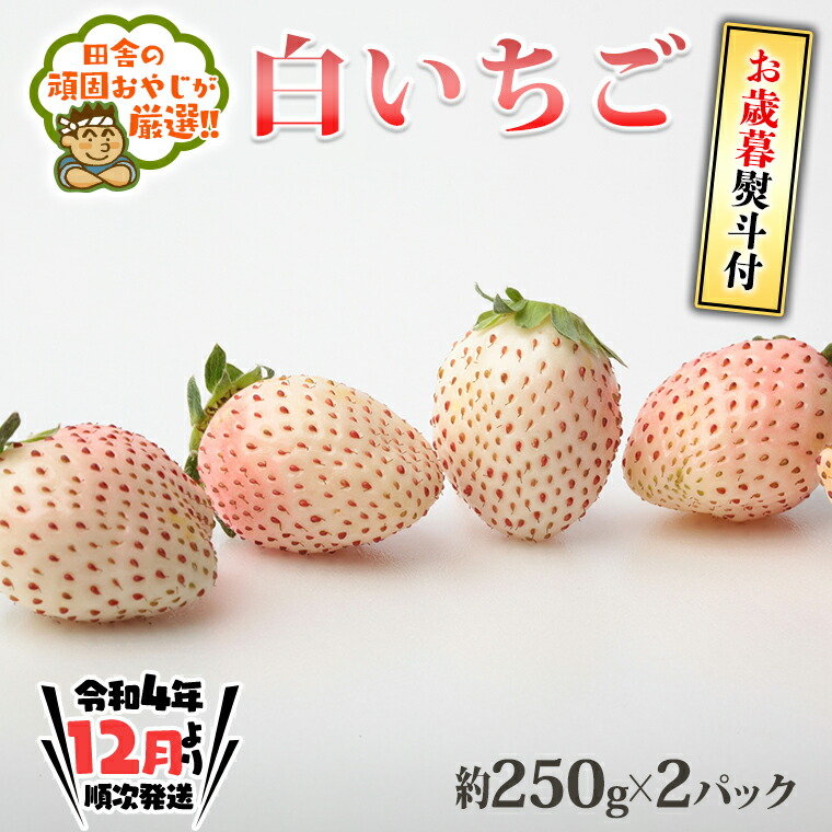 新作入荷!! お歳暮熨斗付 白いちご約250ｇ×2パック 田舎の頑固おやじが厳選 茨城県 県産 つくばみらい市 人気 厳選 果物 くだもの 旬 旬の果物  旬のフルーツ 白イチゴ 白いちご 白苺 いちご イチゴ 苺 熨斗 熨斗付き お歳暮 御歳暮 fucoa.cl