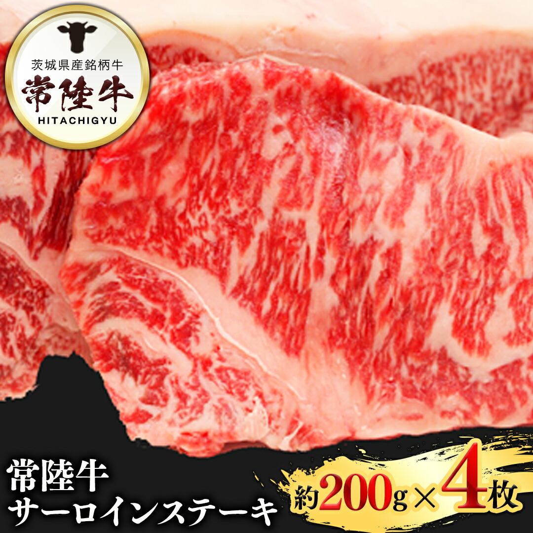 早田雄二作品集 早田雄二作品集