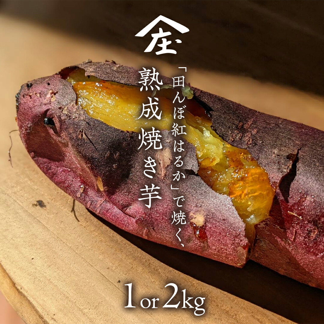 【ふるさと納税】＼ 選べる内容量 ／「田んぼ 紅はるか」で焼く、熟成 焼き芋 1kg (500g×2梱包)  ～2kg (500g×4梱包) 焼き芋 芋 さつまいも おやつ スイーツ 茨城 庄七農園