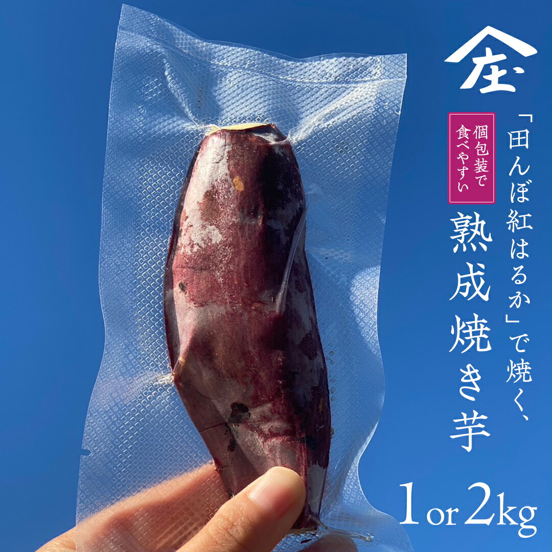 【ふるさと納税】＼ 選べる内容量 ／「田んぼ 紅はるか」で焼く、熟成焼き芋 個包装で食べやすい！ 1kg ( 個包装 およそ6～7本) ～2kg (個包装 およそ15本) 焼き芋 芋 さつまいも おやつ スイーツ 茨城 庄七農園