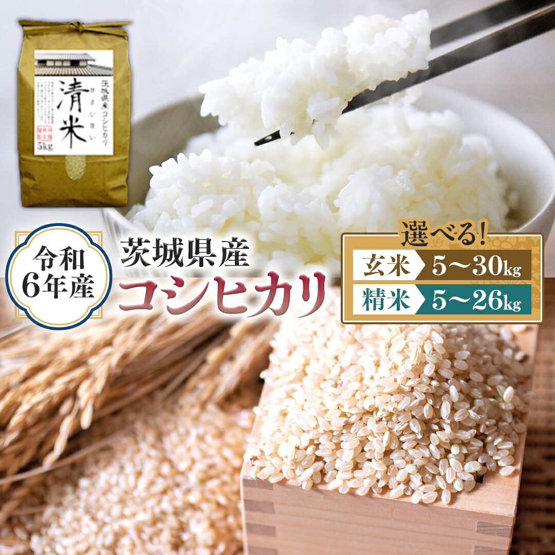 楽天市場】【ふるさと納税】令和6年産 富山湾一望米 コシヒカリ