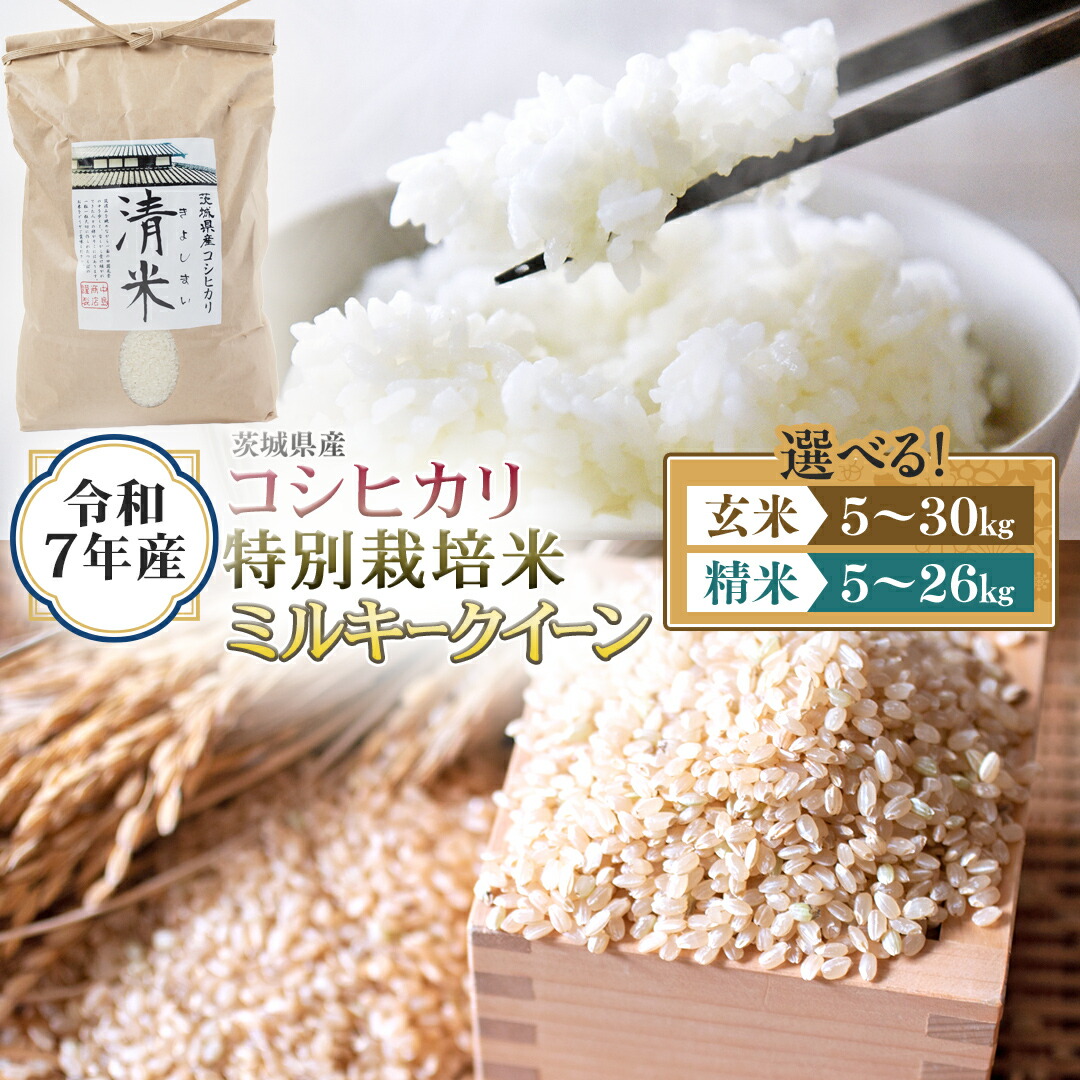 令和５年産　こしひかり20kg　天日干し② 楽天市場】令和6年 コシヒカリ 新潟県産 5キロ 5kg H こしひかり