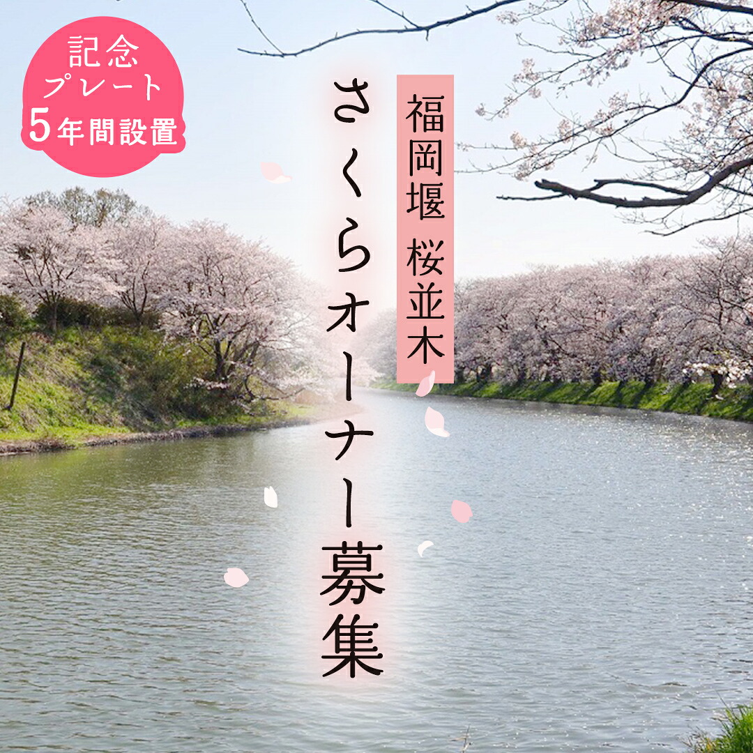 【ふるさと納税】【 福岡堰 桜並木 】さくらオーナー募集【5年間・記念プレート設置】 桜 オーナー オーナー制度 権利 環境保全 自然保護 桜保全管理 地域貢献 祝 記念 記念撮影 写真撮影 記念写真 思い出 フォト 誕生 七五三 ウェディング 結婚 銀婚 金婚 入園 入学 卒業｜茨城県つくばみらい市
