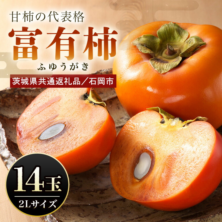 【ふるさと納税】【数量限定・先行予約】 富有柿 2L 14玉 《10月20日～12月10日発送予定》 柿 かき カキ 果物 くだもの フルーツ (茨城県共通返礼品 石岡市) 67-B