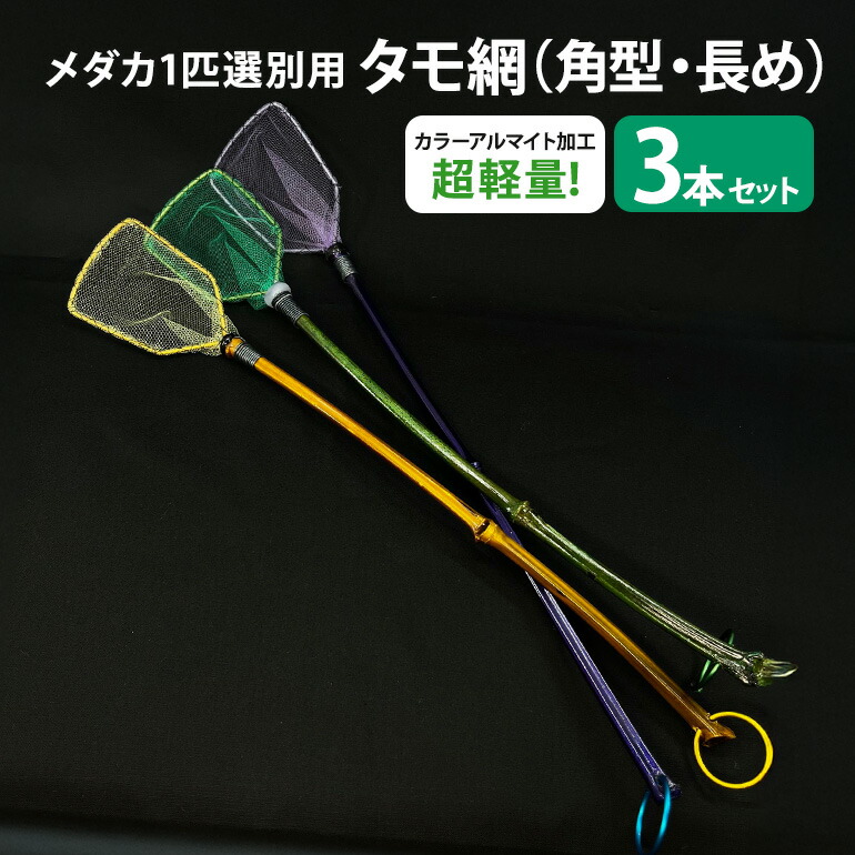 今季注目 あす楽対応  【MR3YFPQX78V】 限定デザイン