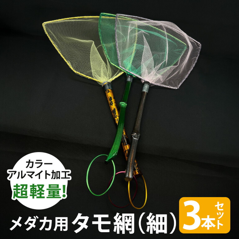 あす楽対応  【MDDC9VPUCO9】 限定デザイン