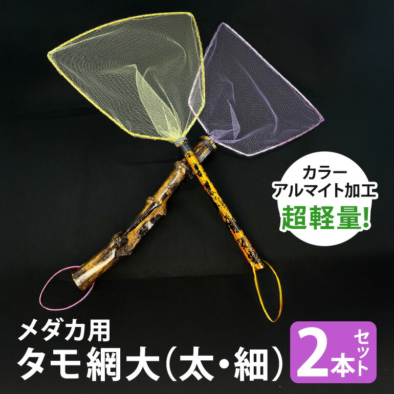 今季注目 【即日発送】  【MYEB1NO66D1】 限定デザイン