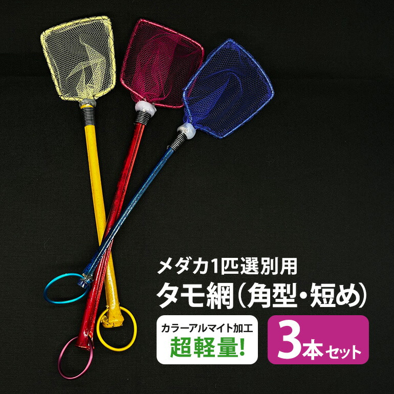 今季注目  【MXC3FWH343P】 限定デザイン
