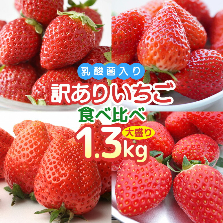 【ふるさと納税】 訳あり山盛り4種類 サイズ違い品種違いのいちご1.3kg いちご 乳酸菌 イチゴ 苺 フルーツ 果物 くだもの 健康 パック セット 訳あり 訳アリ 山盛り サイズ違い 品種違い 紅ほっぺ ほしうらら よつぼし かおり野 茨城 国産 【4月～5月順次発送予定】 19-AH
