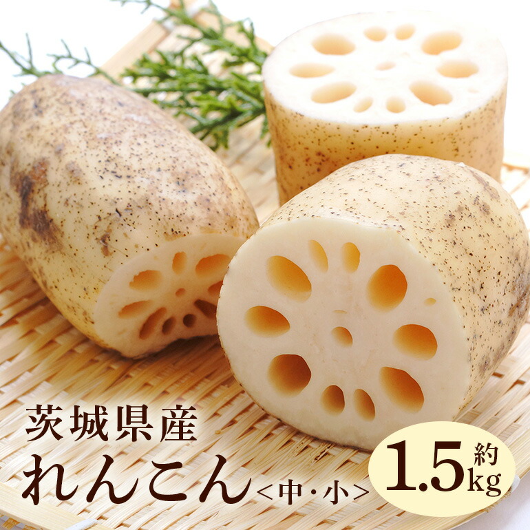 れんこん 楽天市場】【ふるさと納税】【先行予約】レンコン 2kg【新