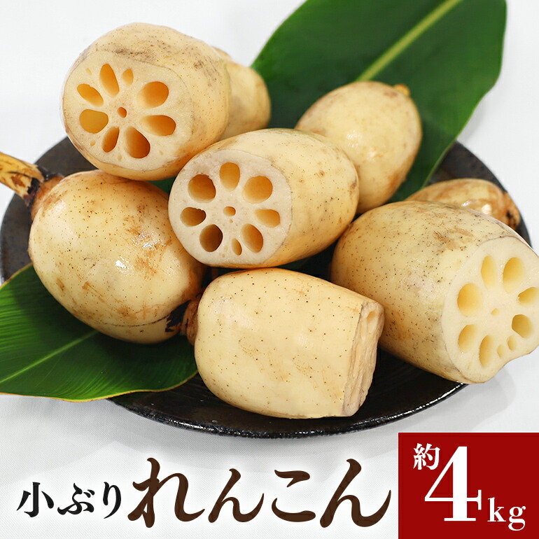 【ふるさと納税】期間限定 数量限定 ご家庭用ちょっと小さめ れんこん 約4kg れんこん レンコン 蓮根 茨城 国産 お正月 おせち 野菜 17-AF ＜11月中旬～12月上旬発送予定＞