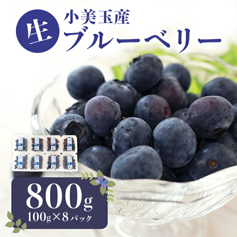 【ふるさと納税】期間限定 数量限定 小美玉ブルーベリー 約800g （100g×8） 大粒 小分け 国産 茨城県産 冷蔵 朝採れ 朝どり 朝どれ 生果 ブルーベリー フルーツ 果物 くだもの とれたて 新鮮 ぶるーべりー 17-AG ＜6月下旬～7月中旬発送予定＞