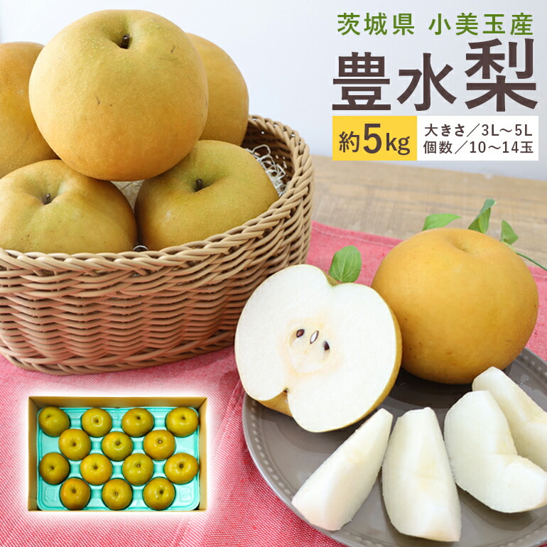 【ふるさと納税】 数量限定 夏季限定 梨（豊水） 約5kg なし ナシ 日本梨 ほうすい ホウスイ 甘い 酸味 ジューシー みずみずしい 【8月下旬～9月上旬発送予定】