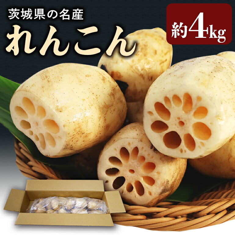 【ふるさと納税】期間限定 数量限定 縁起物野菜「れんこん」 約4kg れんこん レンコン 蓮根 茨城 国産 お正月 おせち 野菜 17-M ＜11月中旬～12月上旬発送予定＞