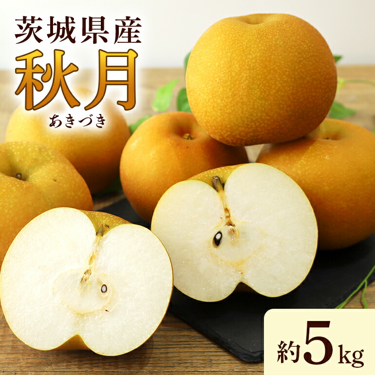 【ふるさと納税】数量限定 先行予約 梨（秋月） 約5kg ナシ なし あきづき 和梨 日本梨 秋月梨 17-X 【9月上旬～中旬発送予定】