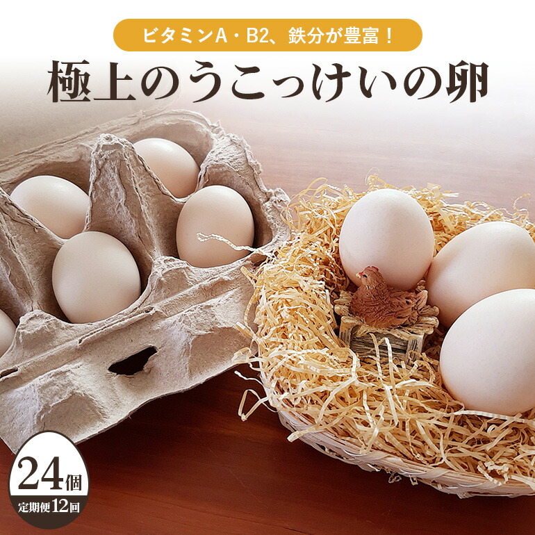 【ふるさと納税】平飼い極上のうこっけいの卵24個（20＋補償4個）×定期便12回【12か月定期便】 たまご タマゴ 玉子 烏骨鶏 烏骨鶏の卵 安全 テレビ TV マニアさん 健康 美容 ご飯 すき焼き 目玉焼き 卵焼き 玉子焼き たまご焼き 卵かけご飯 卵かけごはん TKG 37-C