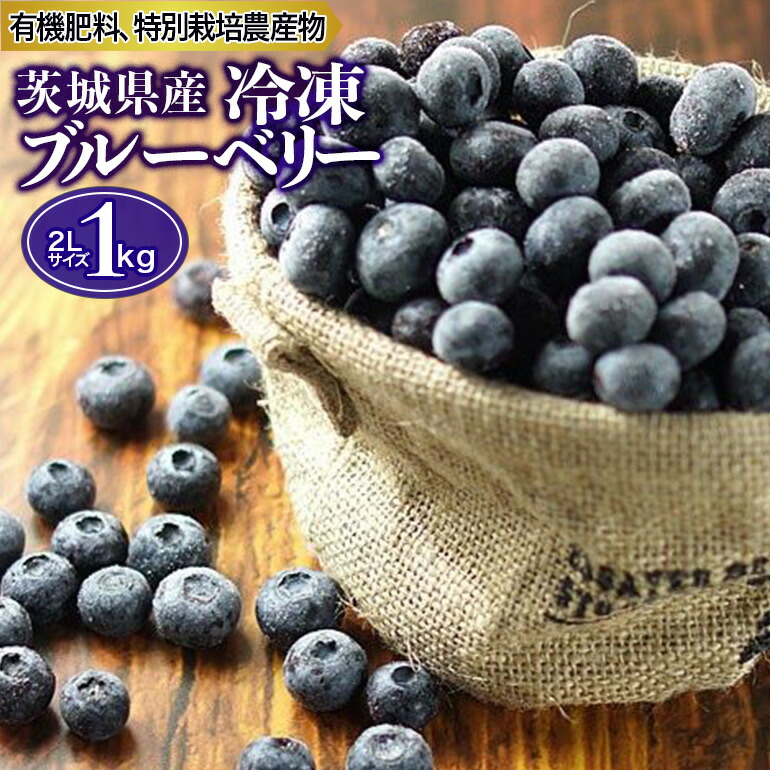 ９−Ｉ 冷凍ブルーベリー 1kg 贈り物 自宅用 家庭用 果物 プレゼント 小美玉市 くだもの 茨城県産 ブルーベリージャム お歳暮 贈物 旬 国産  御歳暮 送料無料 冷凍 ギフト ぶるーべりー 内祝い ご当地 フルーツ ブルーベリー ジャム