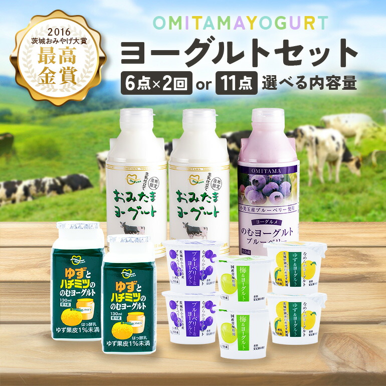 【ふるさと納税】おみたまヨーグルト のむヨーグルトセット ドリンクタイプ 500ml 飲むヨーグルト 乳酸菌飲料 ヨーグルト飲料 フルーツヨーグルト 詰め合わせ ドリンクタイプ フルーツ オミタマヨーグルト 小美玉市|茨城県小美玉市