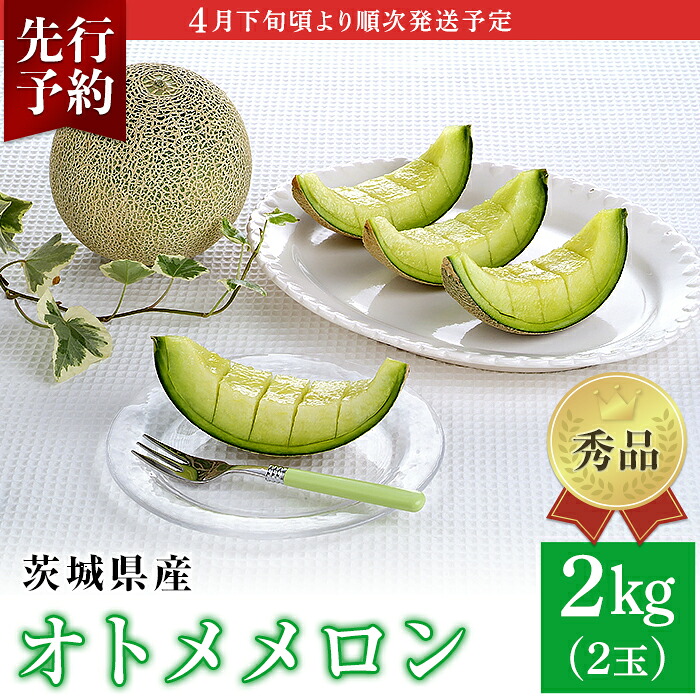 【ふるさと納税】メロン めろん 茨城 秀品 フルーツ 先行予約 007-2 オトメメロン 秀品 2玉 約2kg 茨城県 JA水戸産