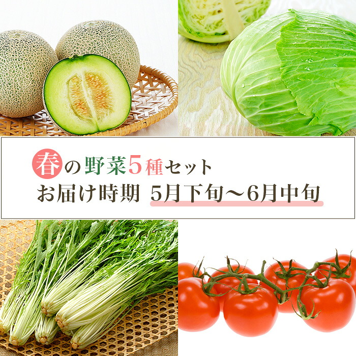 【ふるさと納税】657 茨城町 春の野菜セット メロン トマト きゅうり キャベツ みず菜