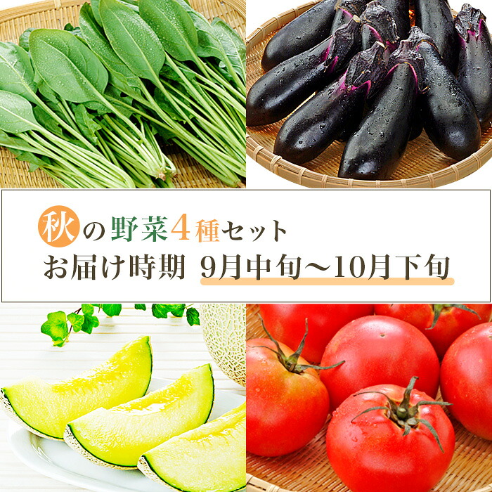 【ふるさと納税】659 茨城町 秋の野菜セット メロン ほうれん草 トマト なす