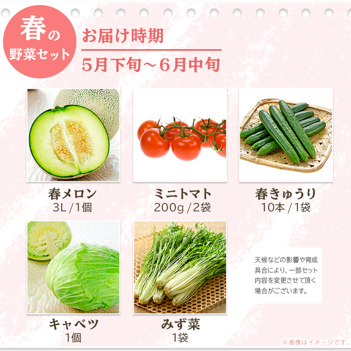 旬の野菜果物を茨城町から年に４回お届け 野菜セット 定期便 162 旬の野菜果物 セット 即納 茨城町産