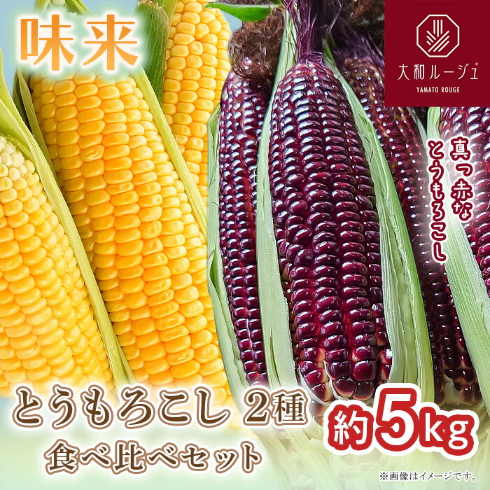 【ふるさと納税】とうもろこし 赤い 珍しい 映え 料理 ポリフェノール アントシアニン 450 とうもろこし 食べ比べ 大和ルージュ 味来 合計約5kg 先行予約 2026年7月上旬～下旬頃発送予定 赤 レッド 野菜 クール便 冷蔵 食べきり