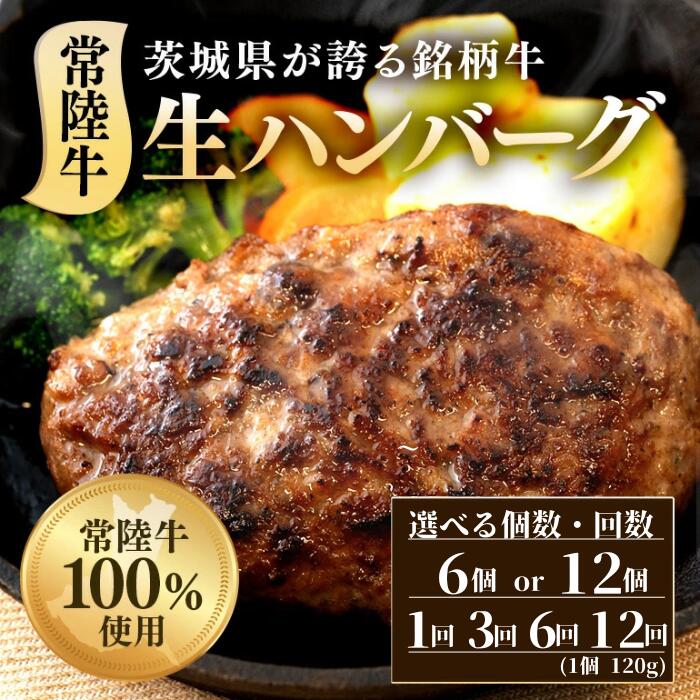 【ふるさと納税】ハンバーグ 牛肉 肉 黒毛和牛 冷凍 国産 贅沢 生ハンバーグ 選べる容量 120g× 6~12個 定期便 常陸牛 100%|茨城県茨城町