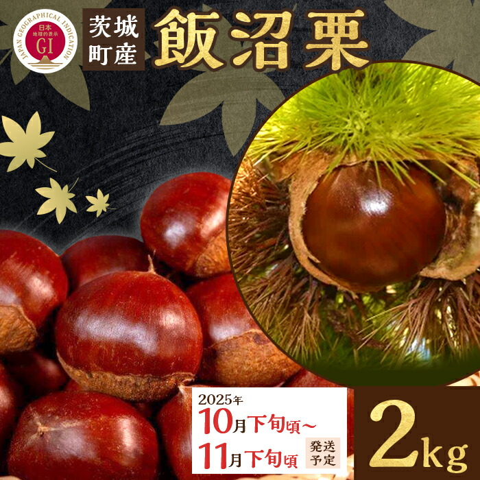 【ふるさと納税】飯沼栗 くり 高級 栗 数量限定 フルーツ 先行予約 029 飯沼栗 2kg 高級 茨城県 茨城町産 ブランド くり 希少 品種 数量 限定 先行予約 2025年10月下旬～11月下旬頃発送予定