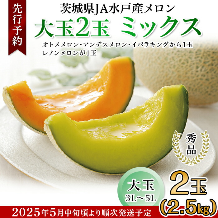 【ふるさと納税】フルーツ 先行予約 メロン めろん 茨城 秀品 食べ比べ 214茨城県JA水戸産メロン【秀品】大玉2玉ミックス(2.5kg)【2025年5月中旬頃より発送予定】
