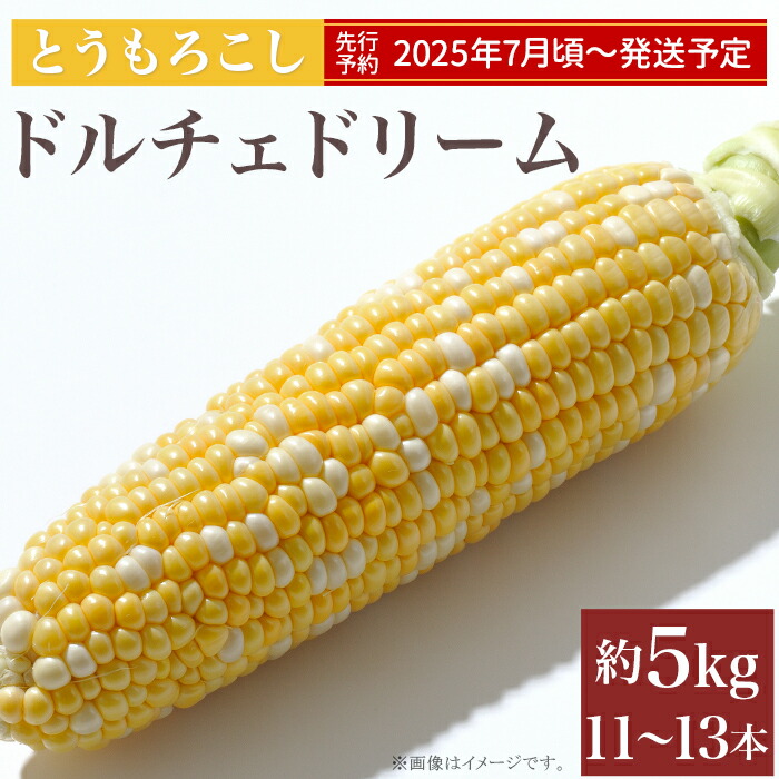 【ふるさと納税】とうもろこし トウモロコシ スイートコーン 朝採れ クール便 先行予約 2025 令和7年 324 とうもろこし ドルチェドリーム 約5kg 11～13本 朝採れ バイカラー 黄 白 茨城 先行予約 2025年7月頃～発送予定